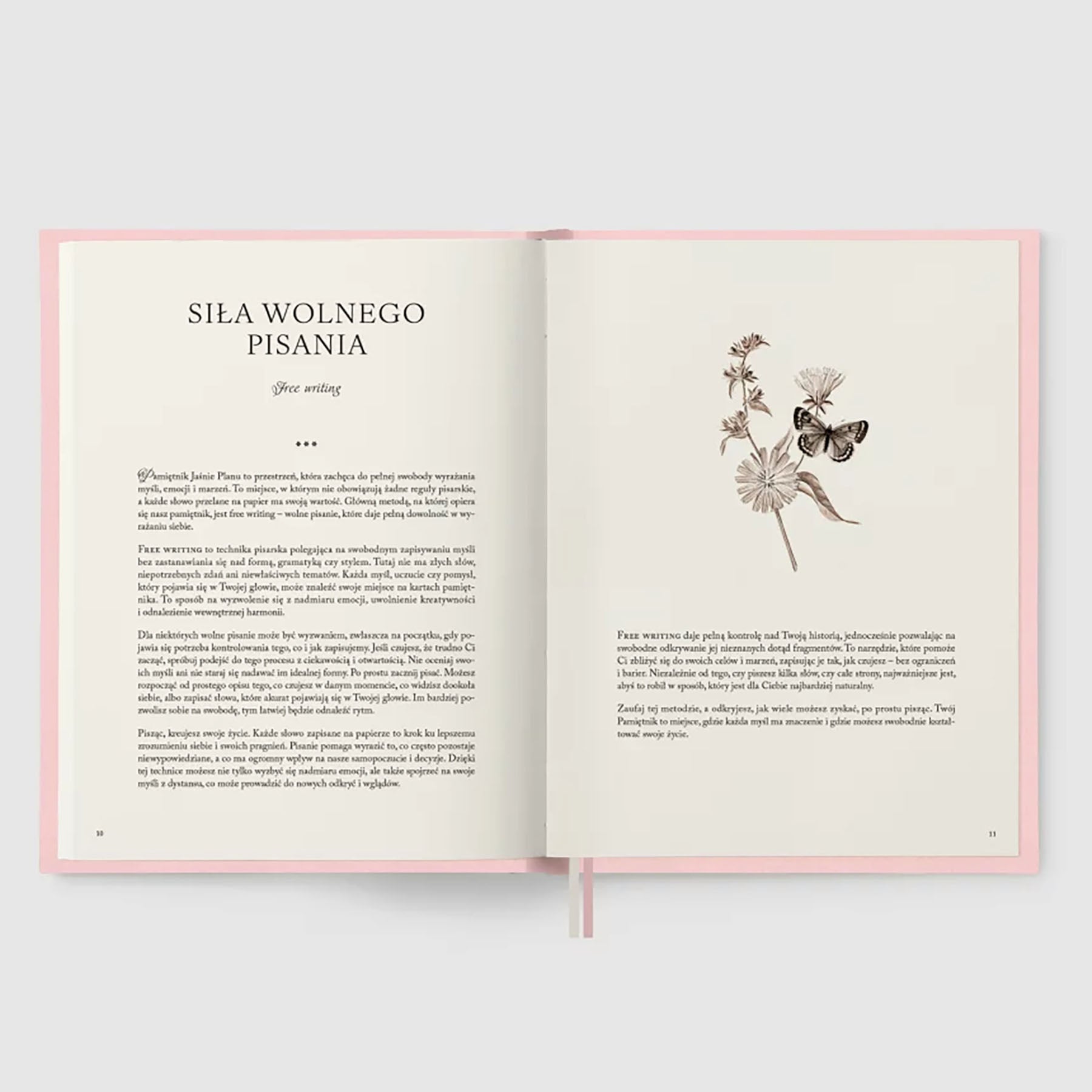 Welurowy pamiętnik – różowy, Jaśnie Plan, papierniczy design